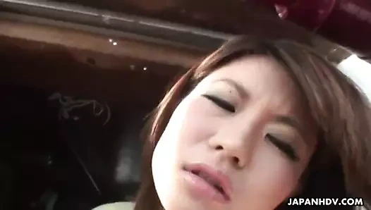 Asya bebek üzerinde bir balıkçı teknesi çalışır dışarı the seks oyuncak