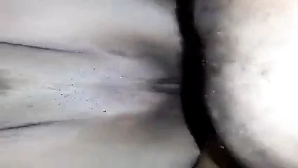 Gilf kahrolası misyoner