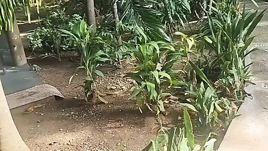 A lil slice of Paradise - Caribbean joy and delights