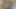 Bacaklı Ve Büyük Şişeli Zenci Kızı Sikiyor