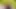 Amy Douxxx yoga yapmak için Barbie Brill ile parka gidiyor ama onu sikmek için kayışını takıyor - reality kings