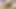 I can't stop doing this!!! hairy virgin rubbing.female masturbation