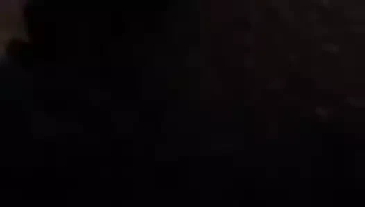 civciv oynama ile KEDİ içinde külot