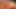 Hayır motel sıcak iri parça orgy
