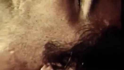 69 pozisyonunda dörtlü amcık yalama