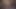 Carmen serseri serseri, patlayıcı bir bbw saksocu