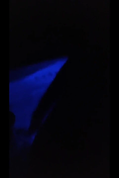 Candi Annie jakuzide sikişiyor ve yutuyor