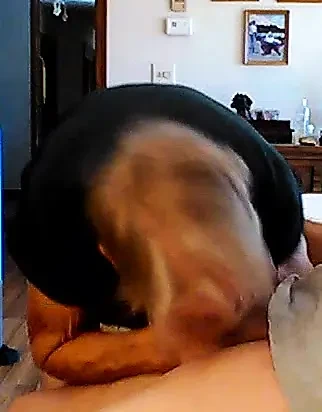 Elderfarts efsanesi oma emiyor 2