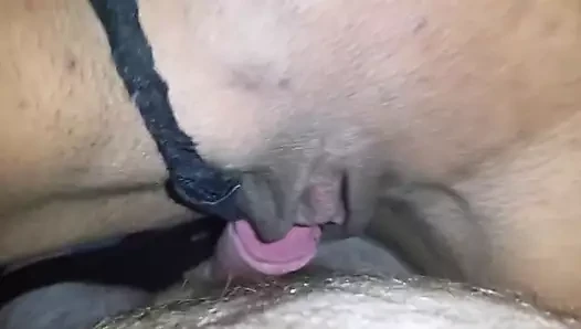 mulatinha