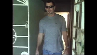 kedi yavrusu ve vanessa mavisi