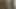 Halka açık duşta tıraş oluyor