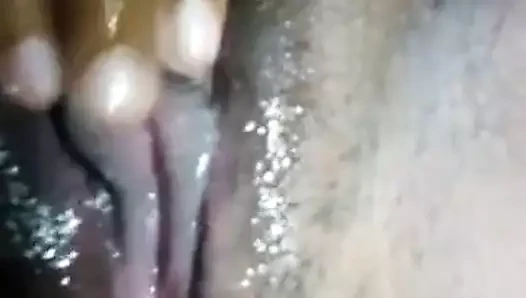 Karısının suyu kedi – sri lanka