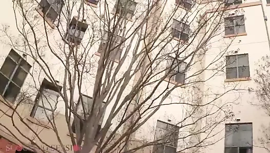 Güzel abanoz bakire gets tabanlar emdi