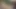 3 yakışıklı havuz başında sıcak ve ağırlaşıyor - falconstudios