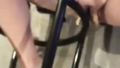 Dana sikikleri bir sandalye