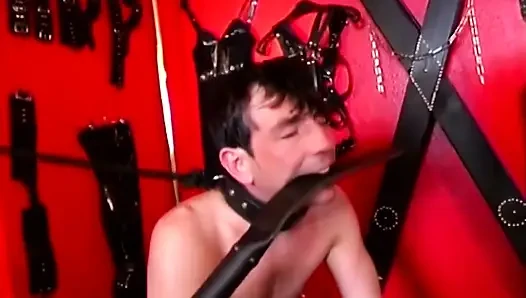 Baskın orta yaşlı seksi kadınlar kalın takma yaraklı yakalı köleleri sikiyor