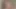 Halley Hill şehvetli bir kolej oral seksi için büyük sert bir yarağı kırbaçlıyor