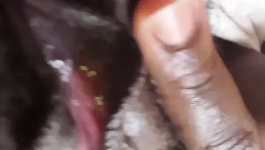 German fat hairy black pussy closeups