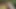 Risky Forest Bath Quickie - Almost Caught Fucking