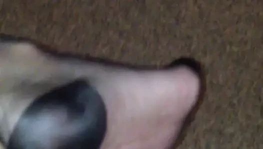 Siyah bir horoz için eğitim