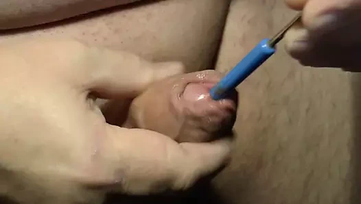 Kuyrukta kalem ve hortumlu sperm