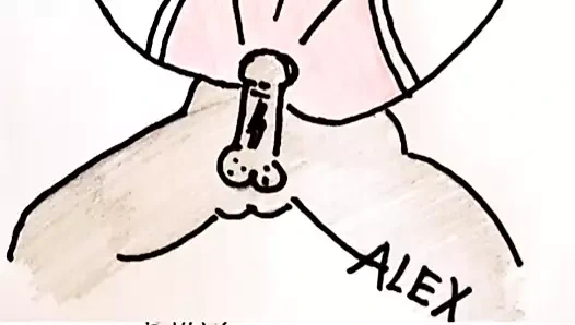 Laura Crocerossa (espansione)