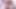 Isabellabigcock güzel transeksüel
