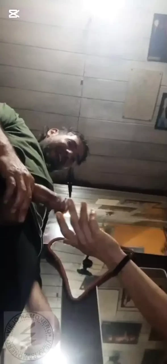 Трио Amigos в любительском видео