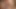 Jelena Jensen ve Tanya Tate azgın lezbiyenler