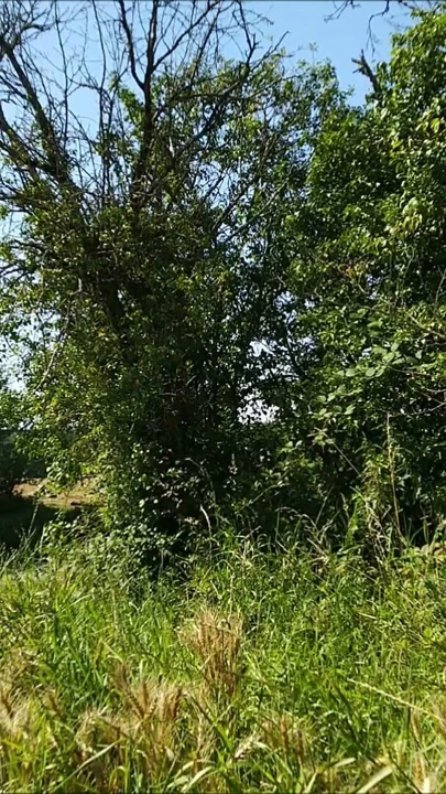 Yol boyunca gösteriş yapıyorum. Beni o kadar heyecanlandırıyor ki büyük bir boşalma olana kadar mastürbasyon yapıyorum | Klip 1