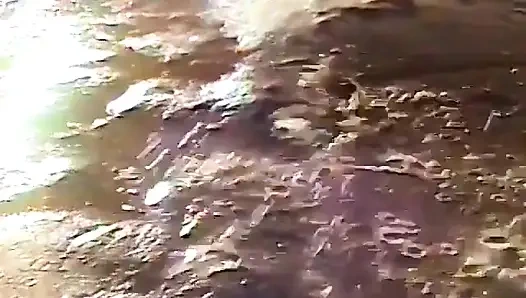 Plajda dörtlü eğlence!