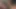 Edepsiz Asyalı ateşli Libellule, Katy Caro'nun yakışıklı sevgilisiyle seks yapma sırası onun olduğuna karar verdi