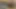Gerçek amatör kamu seks ile kedi cumshot açık