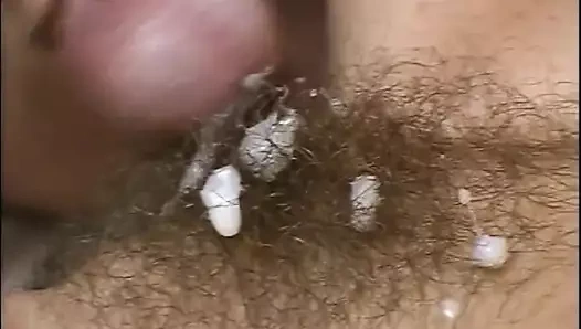 Kıllı mükemmel kedi vol. #03 - (orijinal versiyonu hd)