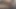 Seni heyecanlandırmak için kedime mastürbasyon yapıyorum