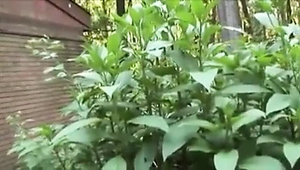 kıllı MİLF yapay penis