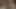 Siyah ve beyaz büyük siyah yarak emiyor anal sikiliyor