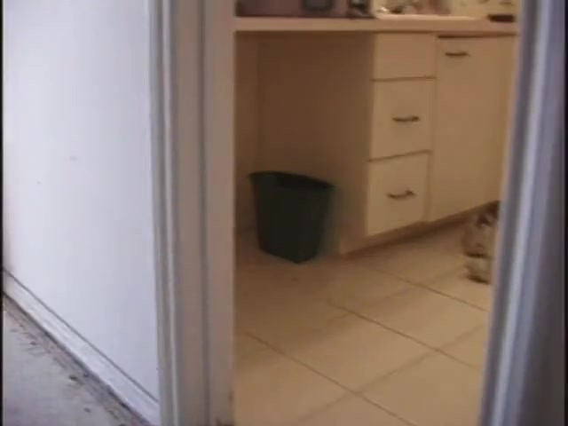 Young whore sucks cock while getting pussy licked