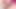 Yakın çekim – büyük ıslak kedi cumming sümük kaplıdır