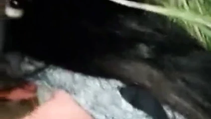 Hint village kız kahrolası sıkı kedi