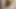 Mısırlı eşcinsel seks pornosu patronumla sikişiyor