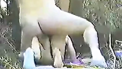 Sesso in campagna con urla selvagge!