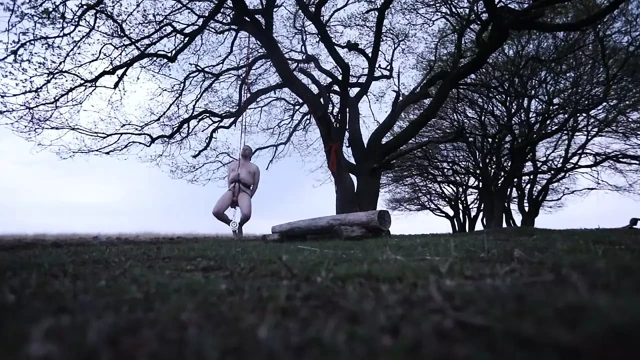 Germany Forrest'da asılı
