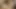 Seksi Asyalı fahişe kıçını toplu tecavüzde sert çivilenmiş alır - klasik amatör sürtük - ev yapımı video