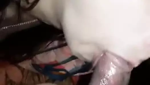 kız arkadaşı verilen bir harika darbe iş