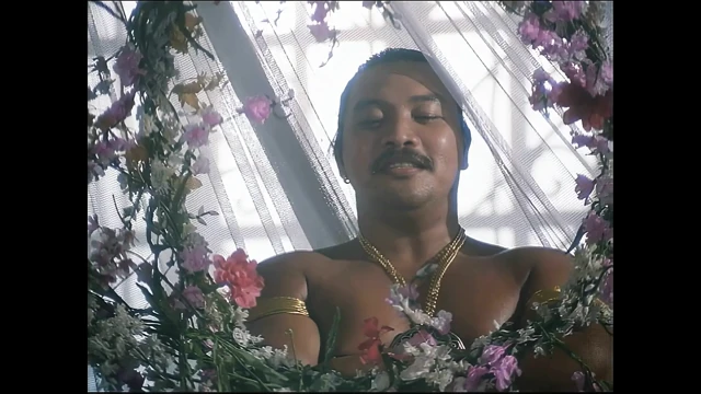 Aladdin ve Harika Kuyruk