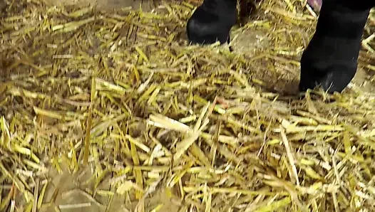 Hard'dan Anal'a, Dış Mekana, Arabada Derleme