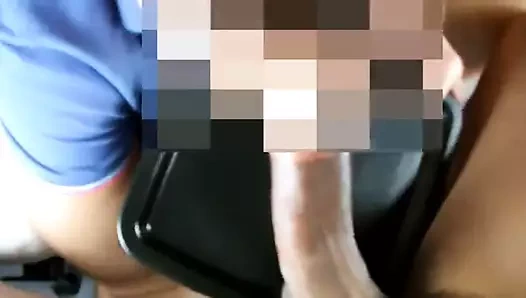 Fas'tan büyük horoz