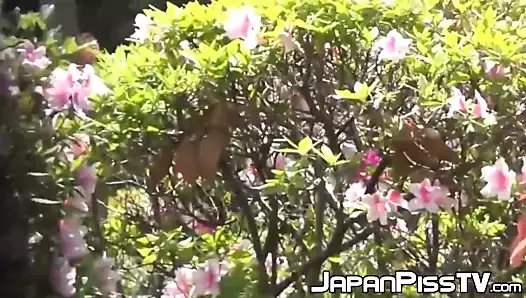 Japon kadınları sokağa işeme dürtüsüne karşı koyamıyor