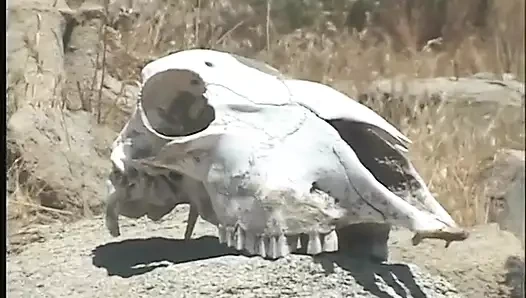 Mükemmel vücutlu üstün fahişeler açık havada kayalarda yarak emiyor